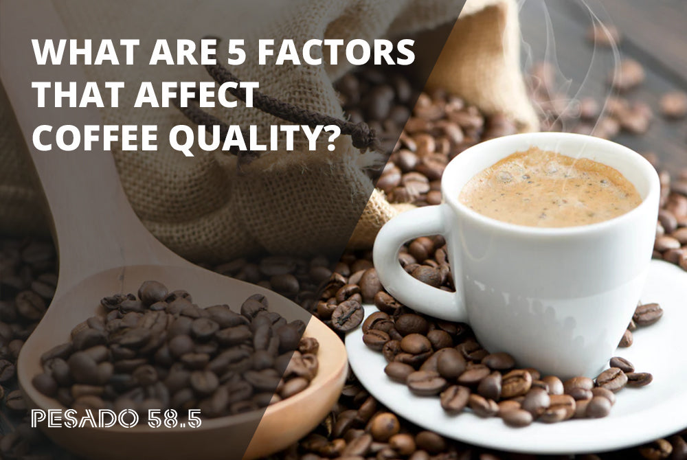 Factors That Affect Coffee Quality